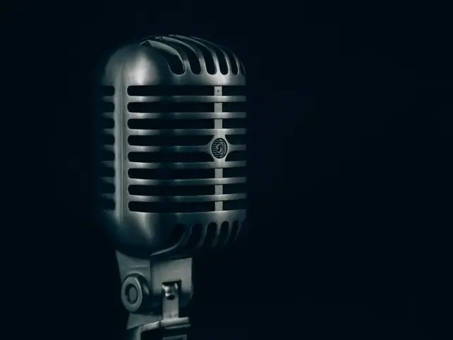Cantante solista