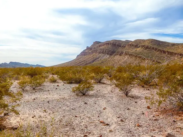 Coahuila, México